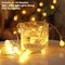 33ft Globe String Lights – 100 LED Warm White Fairy Lights with Remote, 8 Modes & Timer, Indoor & Outdoor Decoration for Bedroom, Wedding, Party, Garden, and Christmas Tree (Warm White)